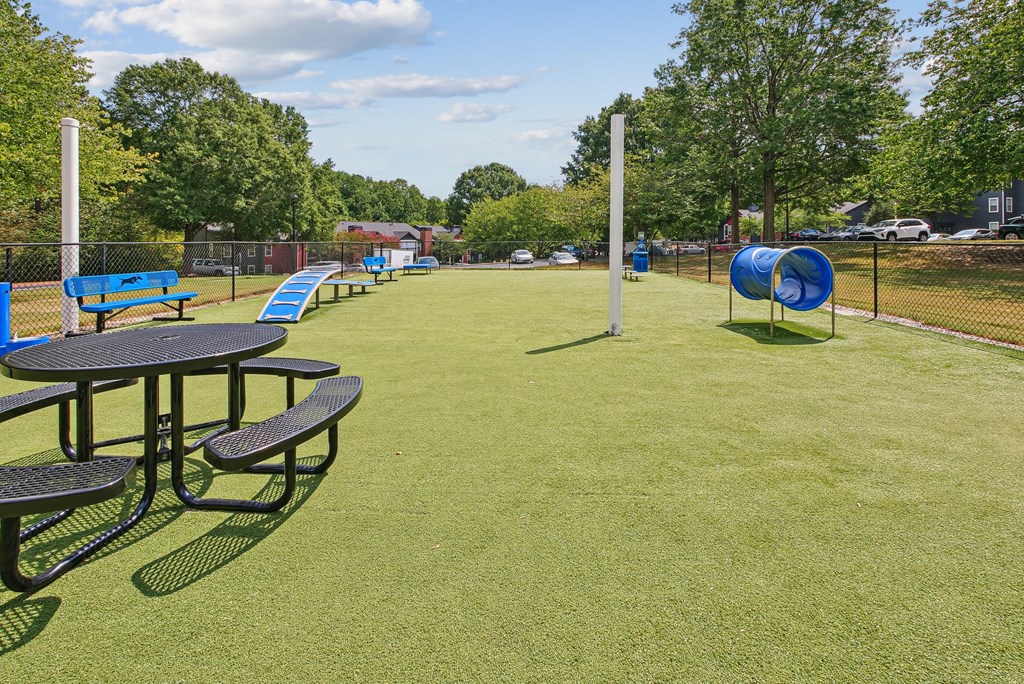 Dog Park A park with a green lawn and a blue slide.